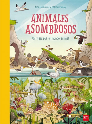 Kniha ANIMALES ASOMBROSOS ANNA CLAYBOURNE