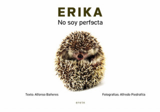 Buch ERIKA 