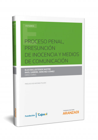 Könyv PROCESO PENAL, PRESUNCIÓN DE INOCENCIA Y MEDIOS DE COMUNICACIÓN RAUL SANCHEZ