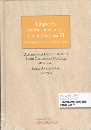 Buch LITIGACIÓN INTERNACIONAL EN LA UNIÓN EUROPEA III + EBOOK ISABEL ANTON JUAREZ