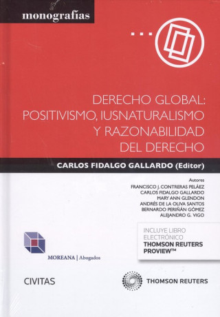 Könyv DERECHO GLOBAL:POSITIVISMO, IUSNATURALISMO Y RAZONABILIDAD DEL DERECHO 