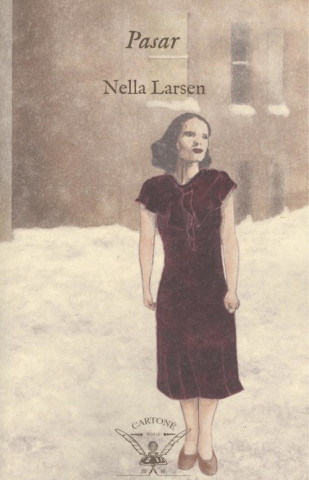 Boek PASAR NELLA LARSEN