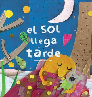 Buch EL SOL LLEGA TARDE SUSANA PEIX