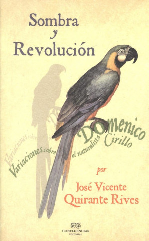 Könyv SOMBRA Y REVOLUCIÓN JOSE VICENTE QUIRANTE RIVES