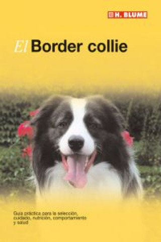 Kniha El border Collie DAVID GEORGE
