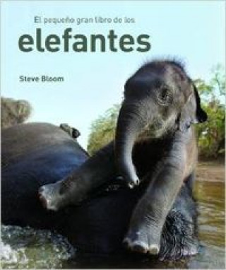 Kniha El pequeño gran libro de los elefantes STEVE BLOOM