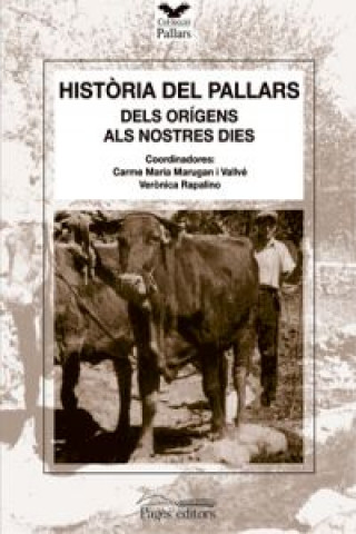 Buch Historia del pallars, dels origens als nostres dies DDAA