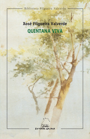 Könyv Quintana viva XOSE FILGUEIRA VALVERDE