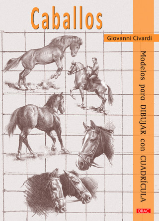 Buch CABALLOS GUIOVANNI CIVARDI