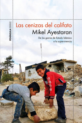 Könyv LAS CENIZAS DEL CALIFATO MIKEL AYESTARAN