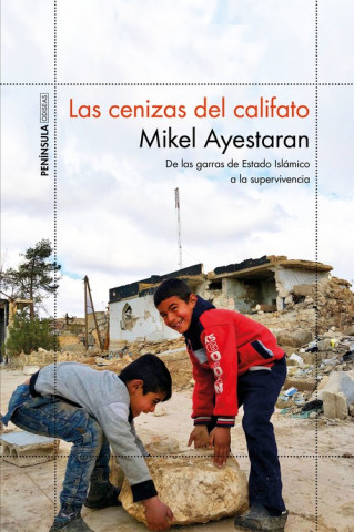 Livre LAS CENIZAS DEL CALIFATO MIKEL AYESTARAN