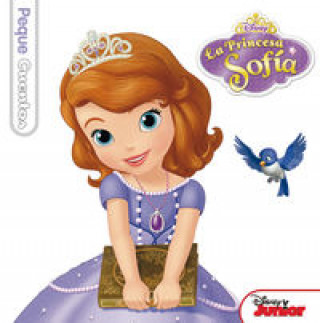 Kniha Princesa Sofia 