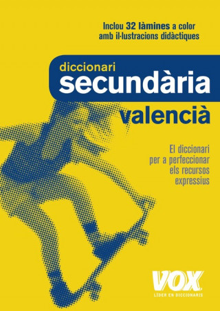 Könyv DICCIONARI SECUNDÀRIA VALENCIà 