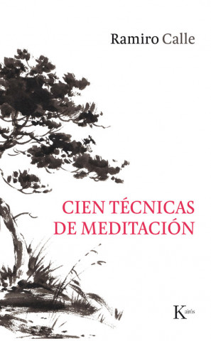 Könyv CIEN TÈCNICAS DE MEDITACIÓN RAMIRO CALLE