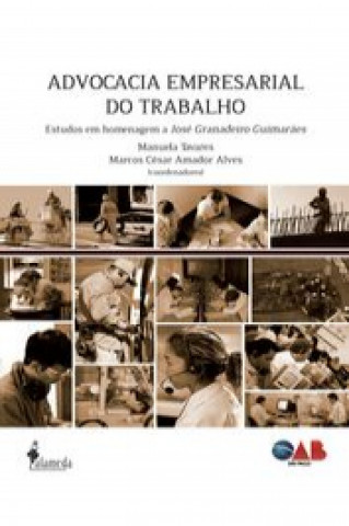 Carte ADVOCACIA EMPRESARIAL DO TRABALHO: ESTUDOS EM HOMENAGEM A JO MANUELA TAVARES E MARCOS CESAR AMADOR AL