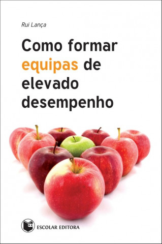 Könyv Como Formar Equipas de Elevado Desempenho RUI LANÇA