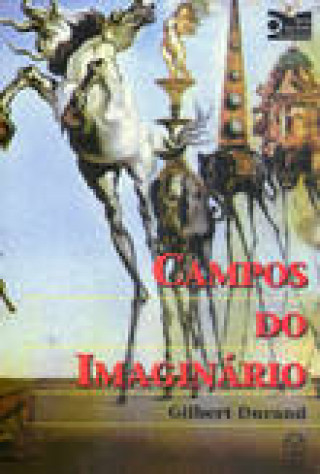 Kniha Campos do Imaginário GILBERT DURAND
