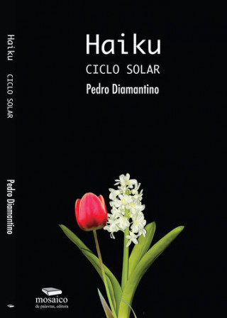 Książka HAIKU: CICLO SOLAR PEDRO DIAMANTINO