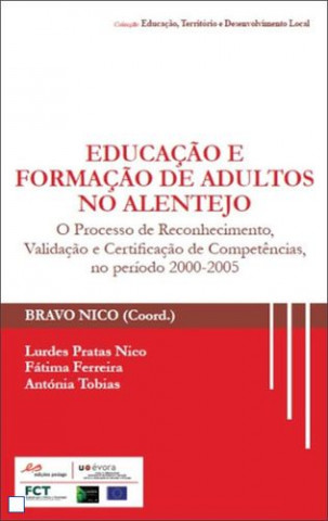 Kniha Educação e Formação de Adultos no Alentejo BRAVO NICO