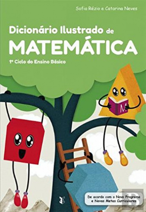 Kniha dicionario ilustrado de matemática 1º ciclo 