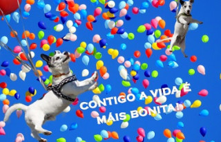 Книга Contigo a vida é máis bonita (Postal) 