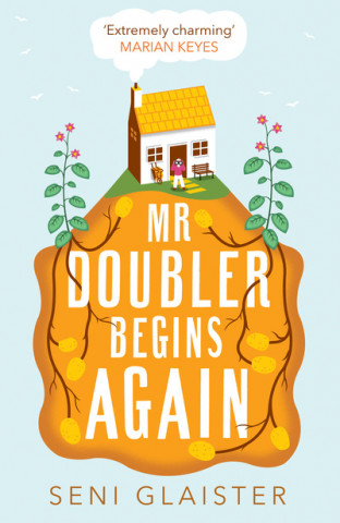 Kniha Mr Doubler Begins Again Seni Glaister