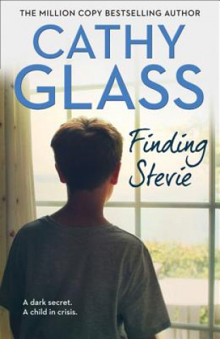 Knjiga Finding Stevie Cathy Glass