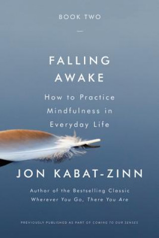Carte Falling Awake Jon Kabat-Zinn