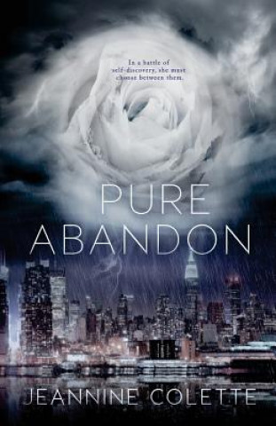 Book Pure Abandon Jeannine Colette