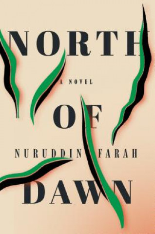 Book North Of Dawn Farah Naruddin