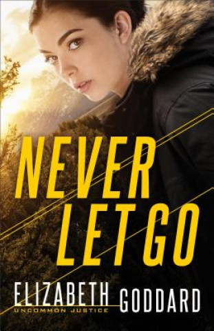 Knjiga Never Let Go Elizabeth Goddard