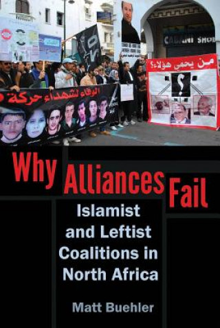 Книга Why Alliances Fail Matt Buehler