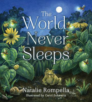 Könyv World Never Sleeps Natalie Rompella
