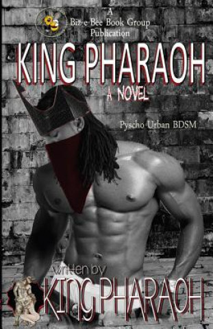 Könyv King Pharaoh: The Birth of a King Mr Vashon Shaw