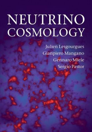 Livre Neutrino Cosmology Julien (Ecole Polytechnique Federale de Lausanne) Lesgourgues