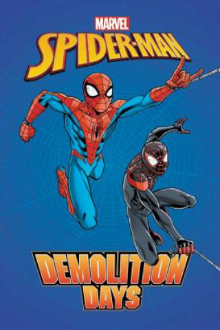 Książka Spider-man: Demolition Days Brian Smith