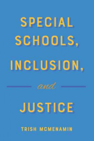 Könyv Special Schools, Inclusion, and Justice Trish McMenamin