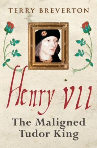 Kniha Henry VII Terry Breverton
