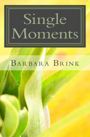 Knjiga Single Moments: Reflections Single Moms Barbara Brink