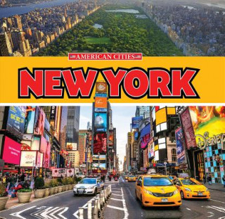 Buch New York Faith Woodland
