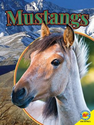 Book Mustangs Pamela Dell