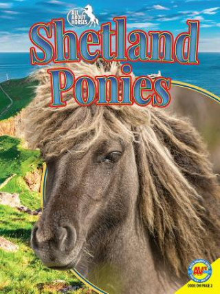 Kniha Shetland Ponies Pamela Dell