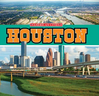 Libro Houston Lyn A Sirota