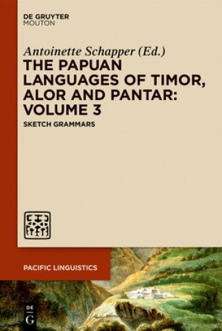 Carte Papuan Languages of Timor, Alor and Pantar: Volume 3 Antoinette Schapper