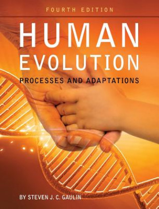 Książka Human Evolution Steven J C Gaulin