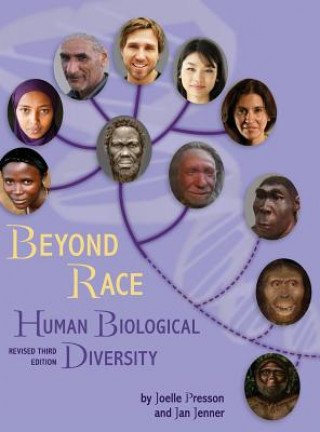 Book Beyond Race Joelle Presson