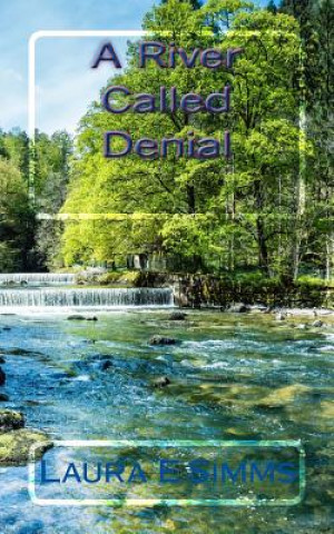 Kniha A River Called Denial Laura E Simms