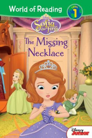 Könyv Sofia the First: The Missing N Lisa Ann Marsoli