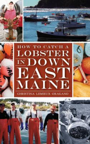 Kniha How to Catch a Lobster in Down East Maine Christina LeMieux Oragano