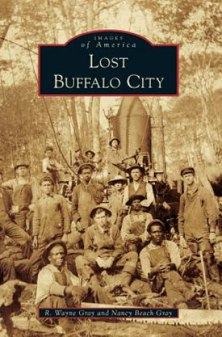 Libro Lost Buffalo City R Wayne Gray